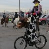 Stretch with his trusty steed, Meals on Wheels at the Coors Field staging area for the National Western Stock show Parade in Denver