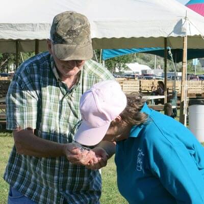 Brown County Fair , SD 2016